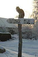Село Михайловское. Питомник для птиц. Псковская об