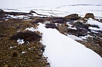 Мурманск. Мурманская область, Россия. 2015 год.