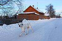 На улицах посёлка Рабочеостровск. Побережье Белого