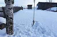 На улицах посёлка Рабочеостровск. Побережье Белого