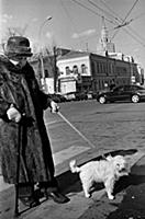 Московские улицы