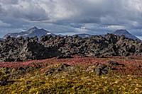 Петропавловск-Камчатский, Камчатка, Россия. 2014.