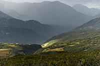 Петропавловск-Камчатский, Камчатка, Россия. 2014.