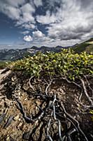 Петропавловск-Камчатский, Камчатка, Россия. 2014.