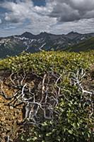 Петропавловск-Камчатский, Камчатка, Россия. 2014.