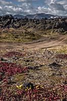 Петропавловск-Камчатский, Камчатка, Россия. 2014.