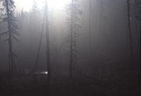 Фотопроект Марка Бонневиля «Тофалары». 2003.