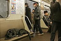Подборка фотографий Московского метрополитена. Рос
