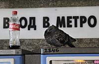 Подборка фотографий Московского метрополитена. Рос