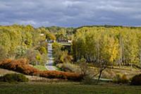 Тульская область,золотая осень в окрестностях усад