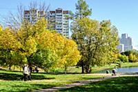 Солнечный осенний день в одном из районов на юге М