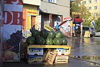 Новосибирск 2015.