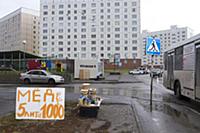 Новосибирск 2015.