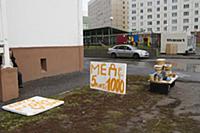 Новосибирск 2015.