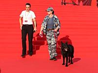 Атмосфера. Церемония открытия 44-го Московского Ме